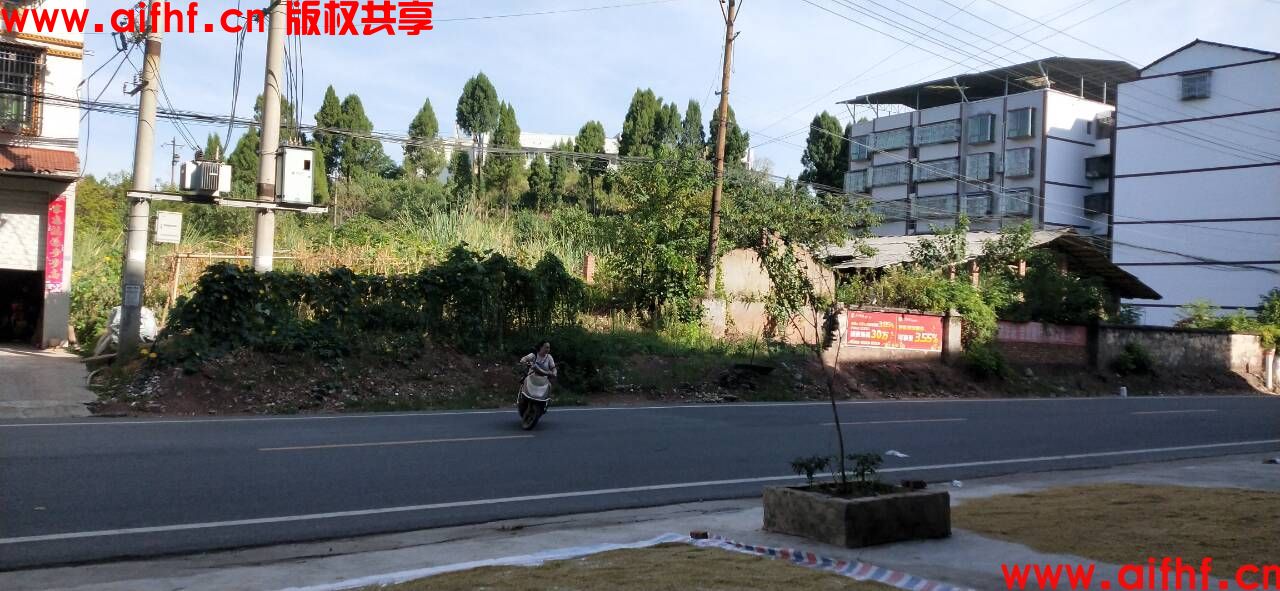 登月的猫：等车出发中