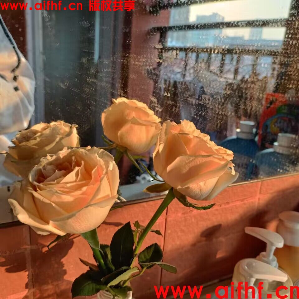 一行之内：花香